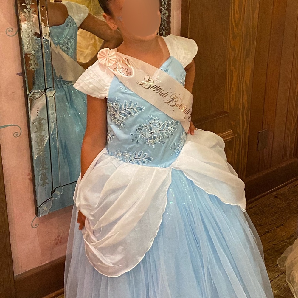 Disney Signature Princess Gown from Bibbidi Bobbidi Boutique in Disneyland